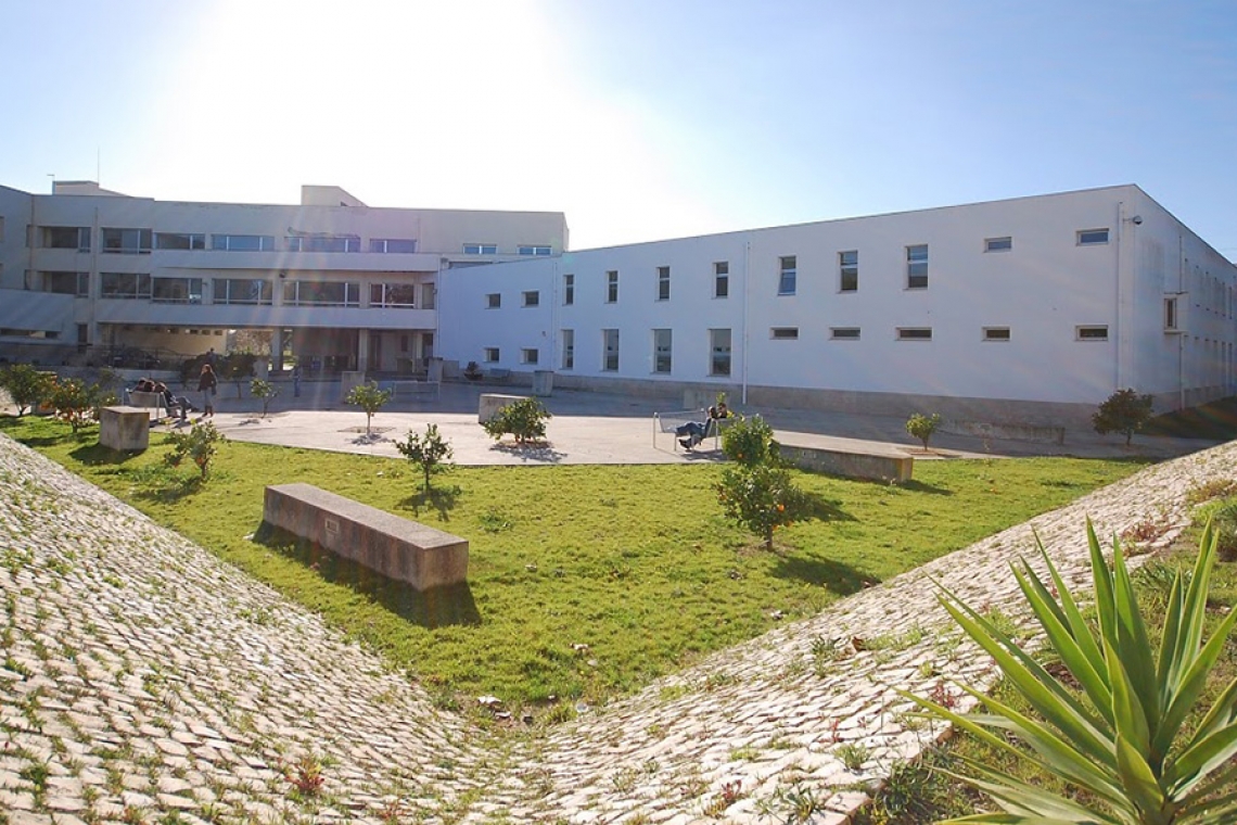 XI Workshop Grudis - A utilização de questionários na investigação em contabilidade - ESCE IP Setúbal, 5 Julho, 14:00