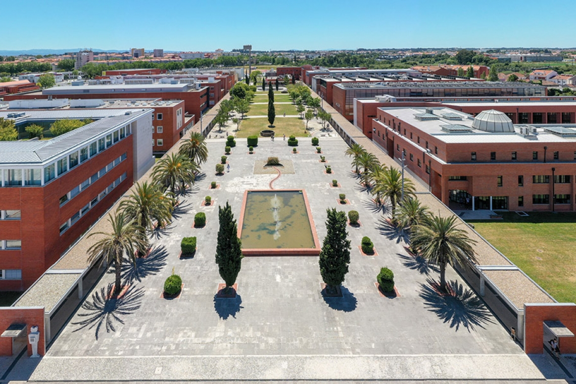 XIII Workshop Grudis - A relação entre orientador e orientando no sucesso da investigação em contabilidade - ISCA (UA), 11 dezembro, 14:30