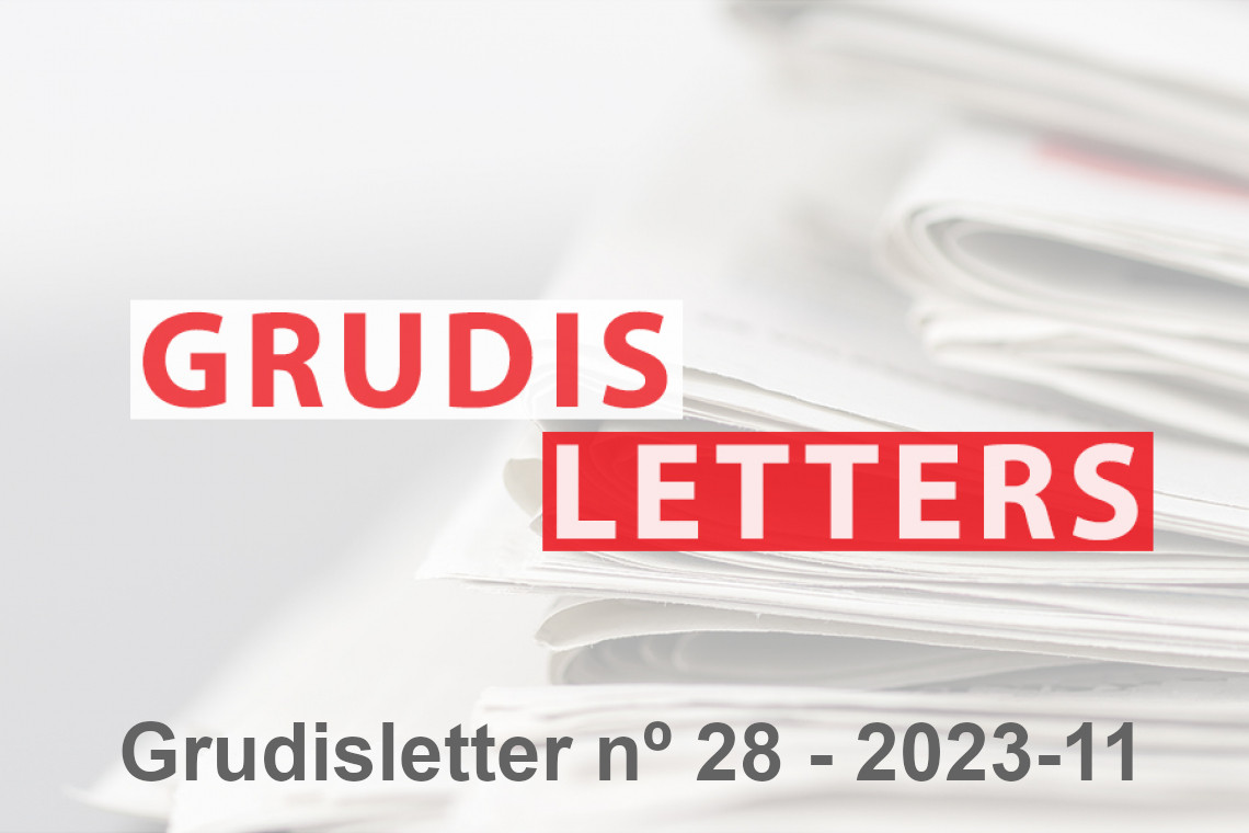 Grudisletter nº 28 - 2023-11 