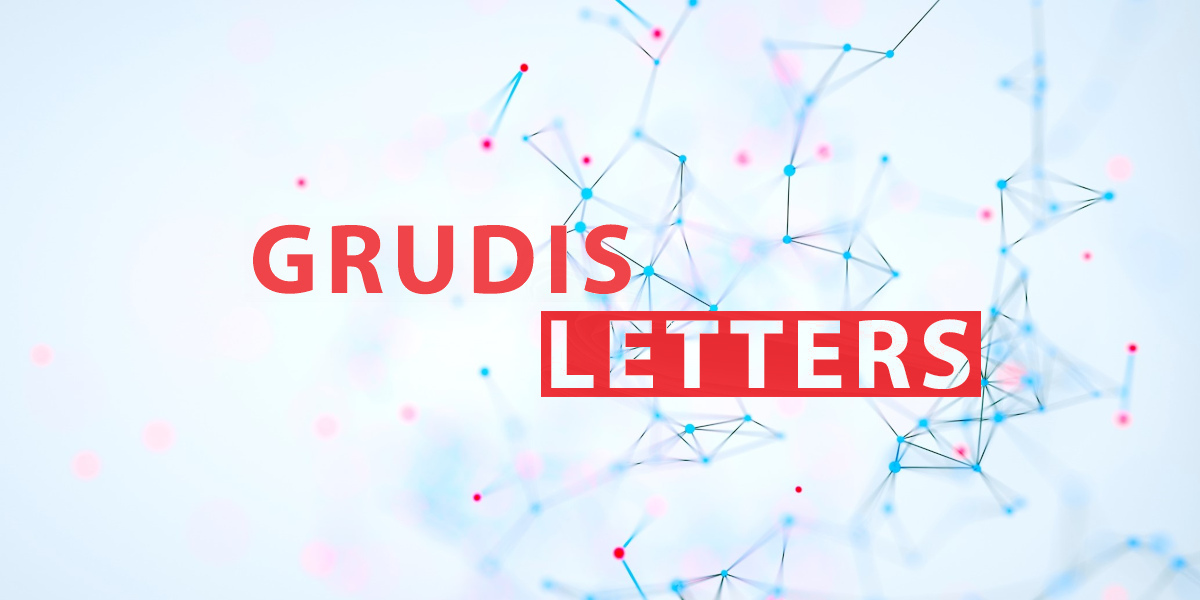 Grudisletter nº 31 - 2025-04