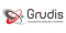 Grudis Accounting Research Network - Logo